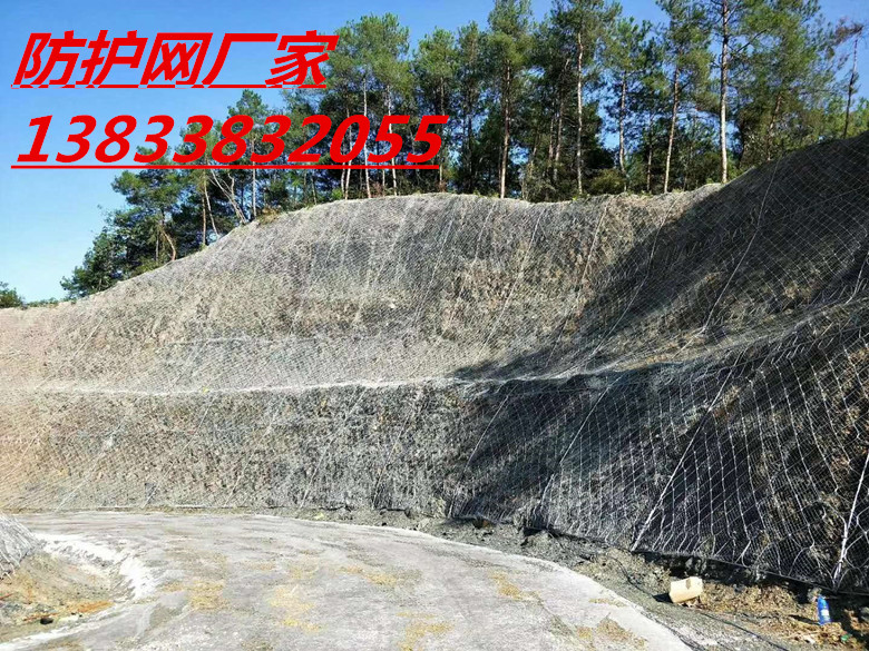 邊坡防護網